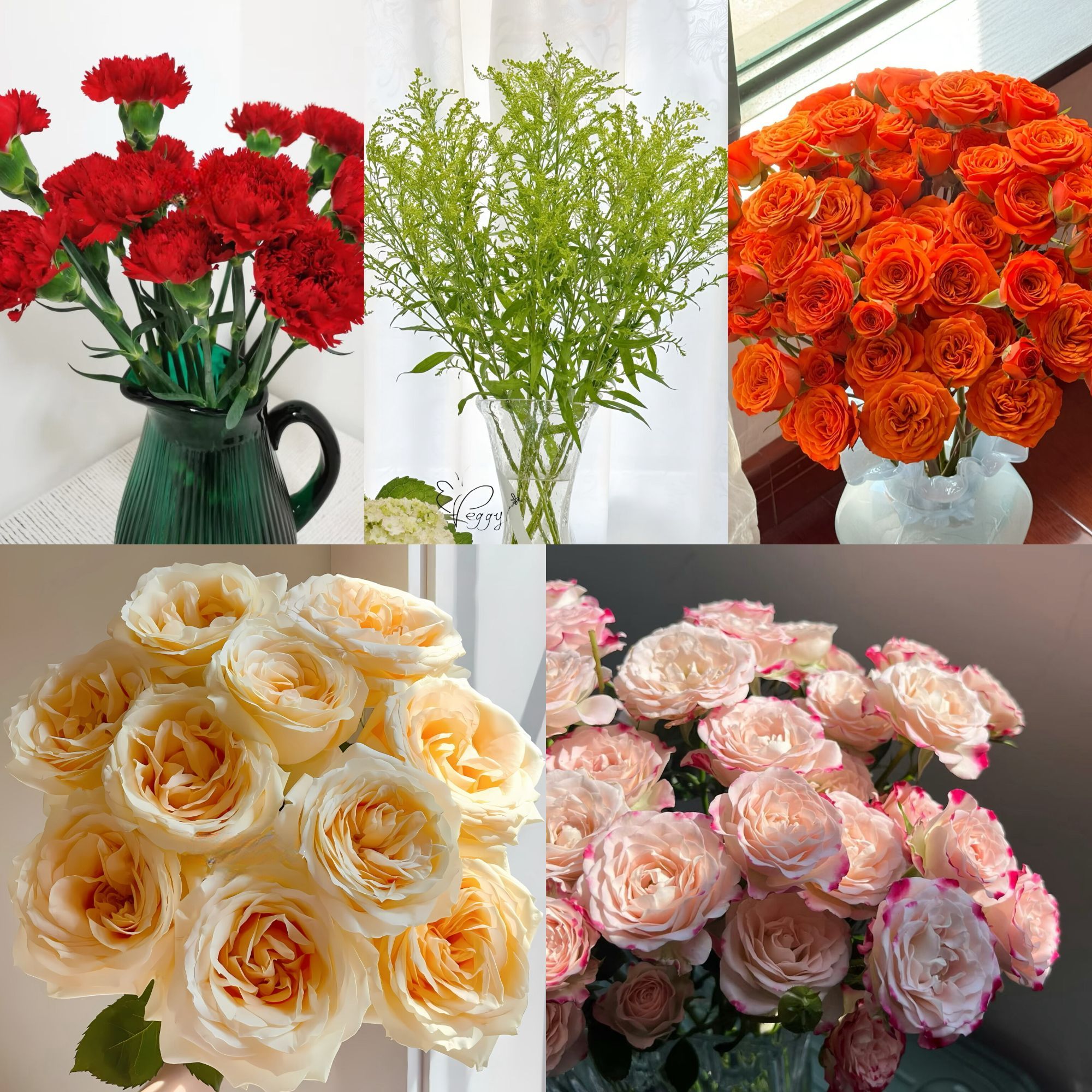 【云舍花卉】橙色芭比+蜜桃雪山+随机玫瑰1份+洪福康15支+黄莺草1份