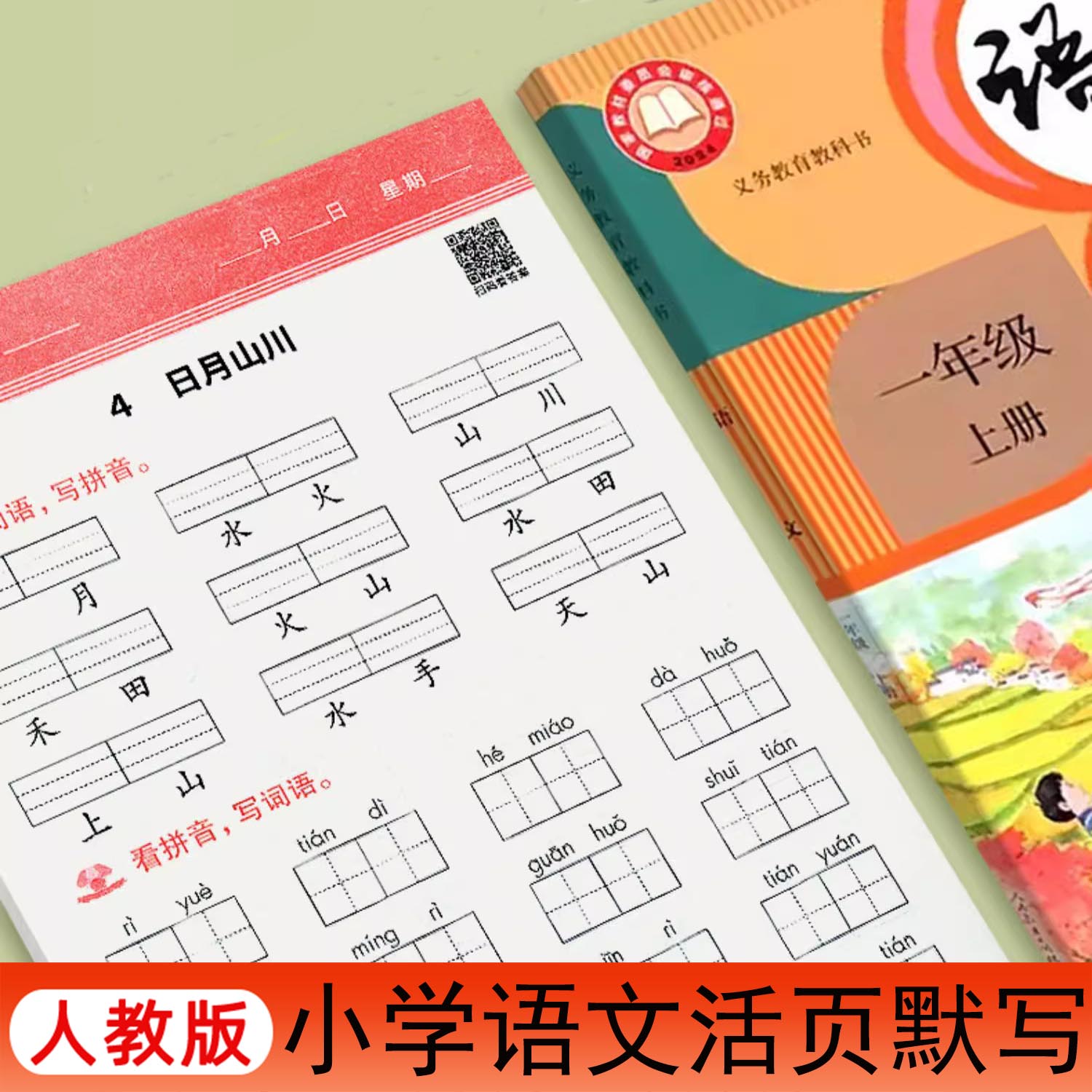 2025新款语文同步默写纸一年级二三年级上下册人教版看拼音写词语