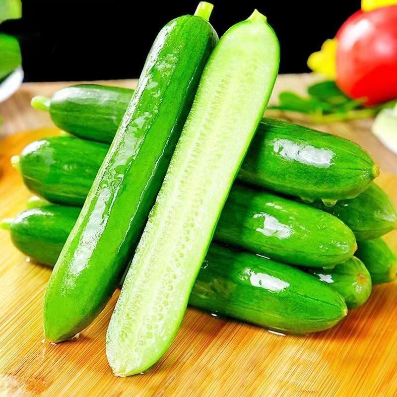 【现摘现发】水果黄瓜新鲜生吃脆嫩清甜多汁包邮无刺青瓜种子旱瓜
