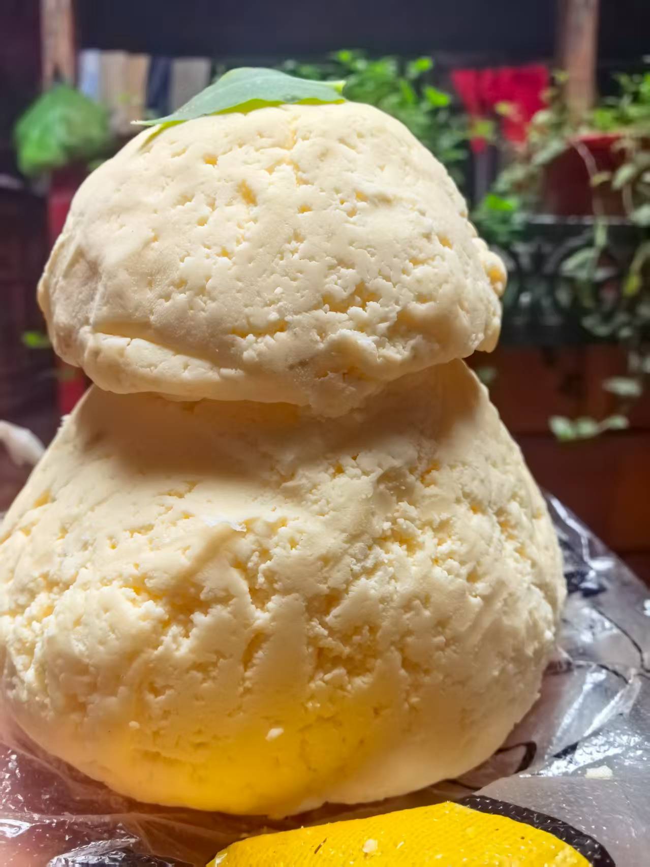 藏族江孜次仁措姆老家新鲜酥油