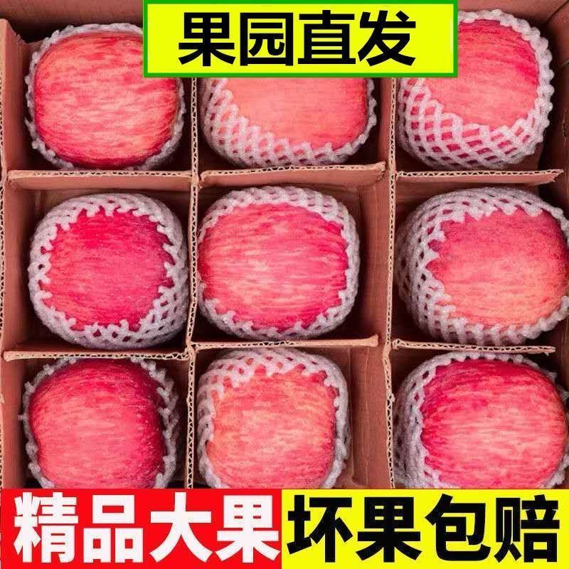 【爆甜】甘肃天水红富士苹果正宗特级苹果新鲜脆甜水果冰糖心整包邮