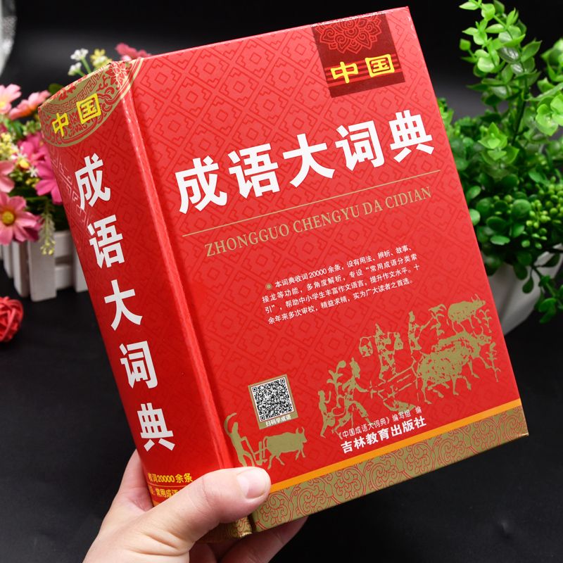 正版中国成语大词典高中生初中生中小学生四字词语解释字典大全书