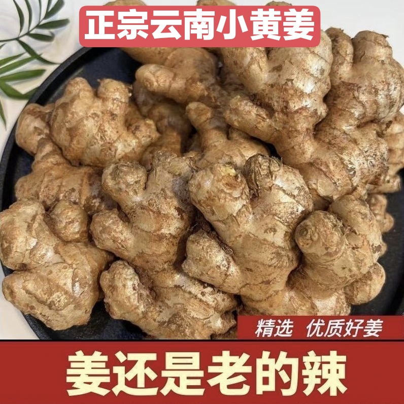 云南新鲜小黄姜姜味浓郁产地直发食用美味