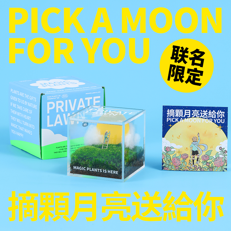 神奇植物-私人草坪S级白发苔藓微景观办公室桌面盆栽好养绿植