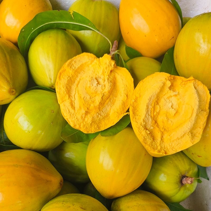 云南特产罕见热带水果新鲜采摘应季蛋黄果鸡蛋果