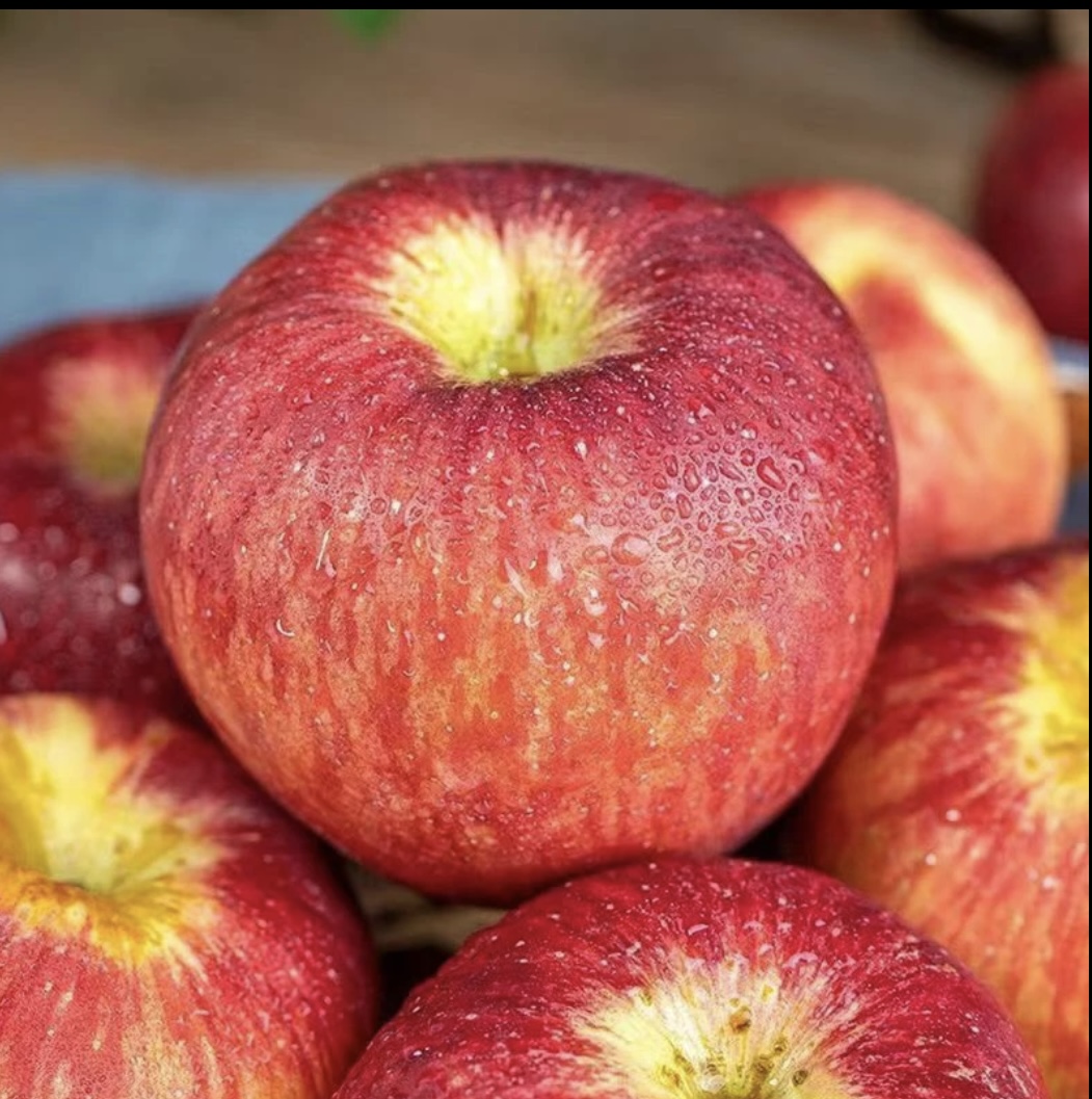 丑苹果云南昭通新鲜采摘高原直供脆甜水果