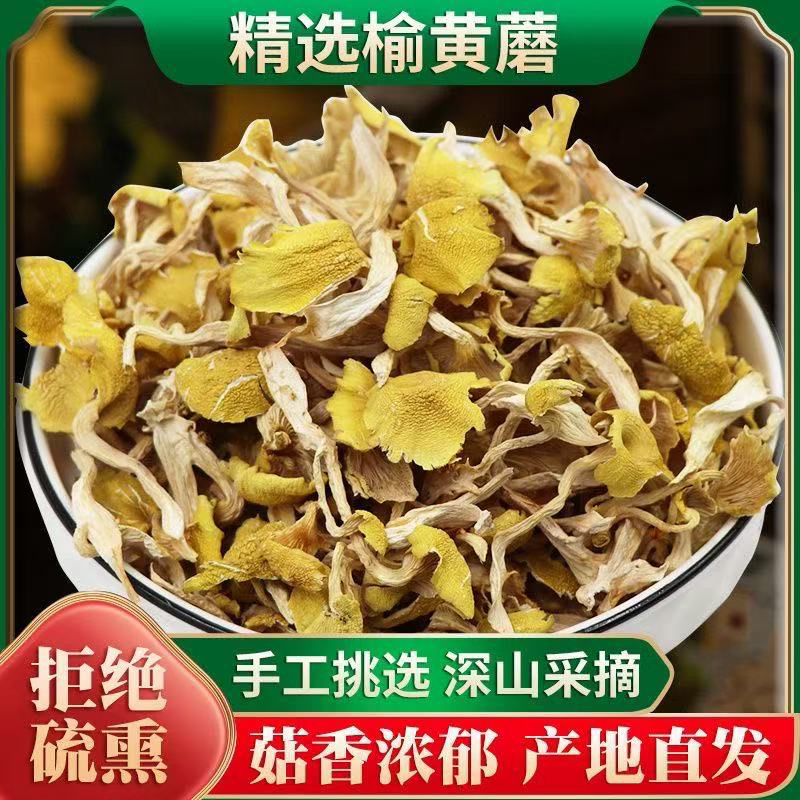 精选无根 野生榆黄蘑 干品