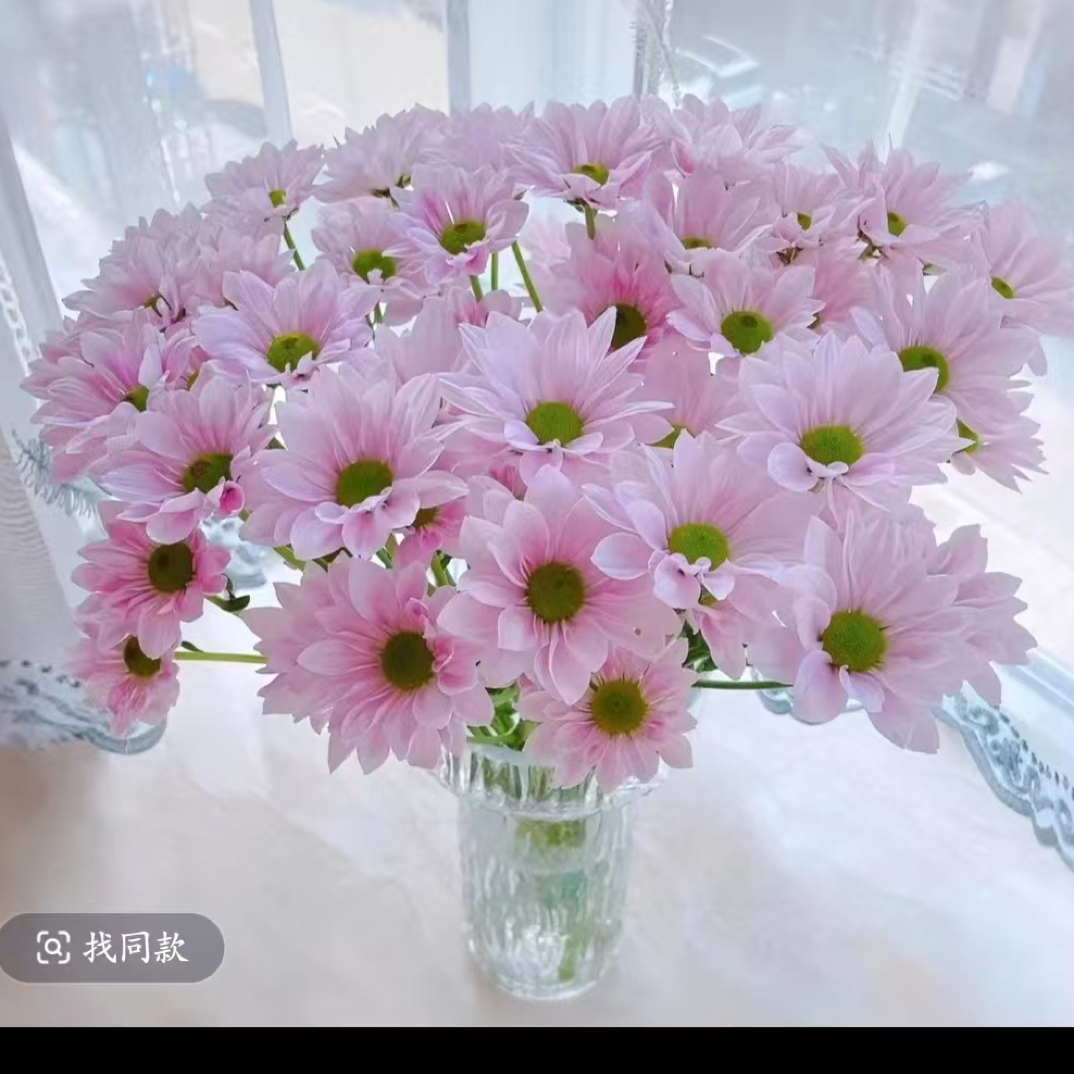 小雏菊鲜花云南基地直发家居插花水养高质量配花