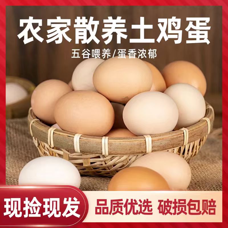 谷物土鸡蛋农家新鲜鸡蛋10枚试吃装