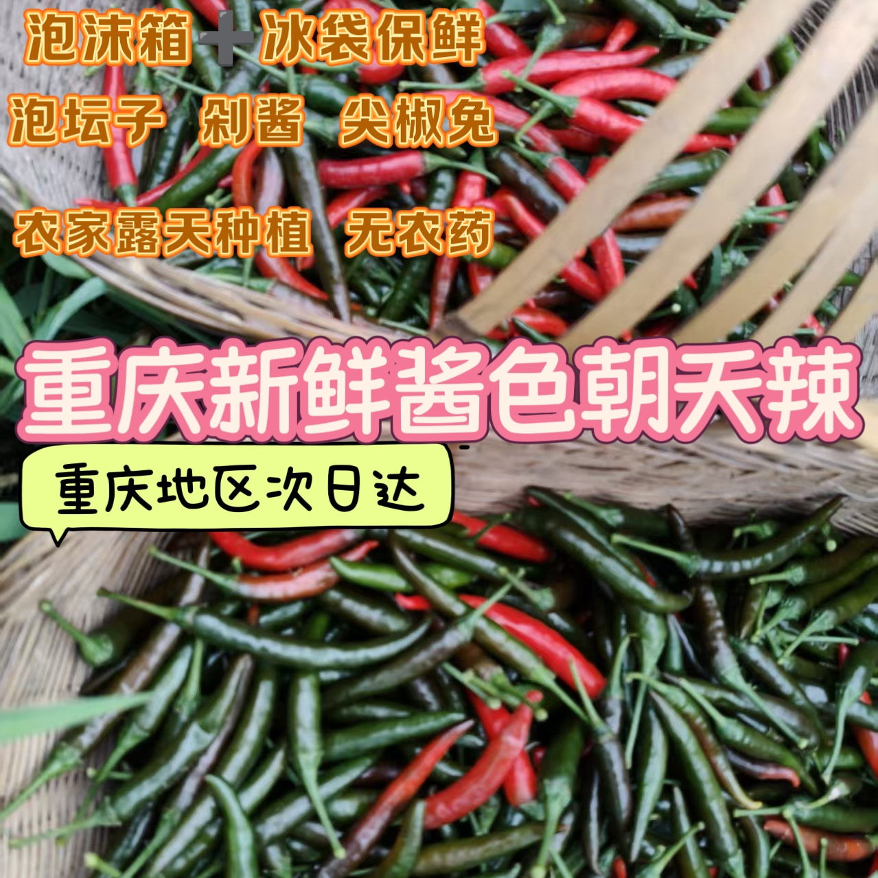 重庆农家露天现摘青红酱色乌红辣椒皮薄香辣朝天辣小米椒应季蔬菜