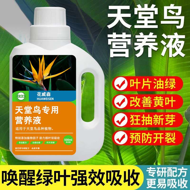 天堂鸟专用营养液鹤望兰专用肥专治黄叶卷边叶子开裂绿植盆栽花肥