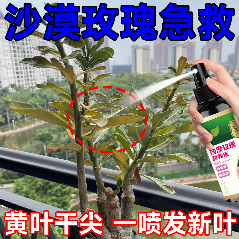 沙漠玫瑰营养液专治烂根黄叶软腐叶斑病不开花催新芽促花营养花肥