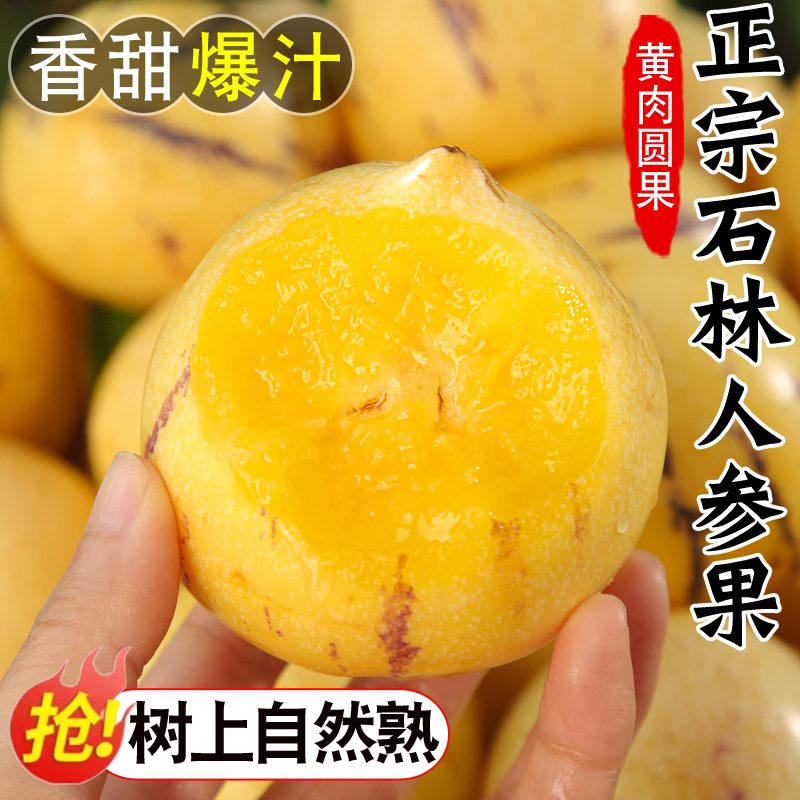 云南石林人参果当季新鲜水果树上熟大黄肉圆果人叁人生娃娃七彩果