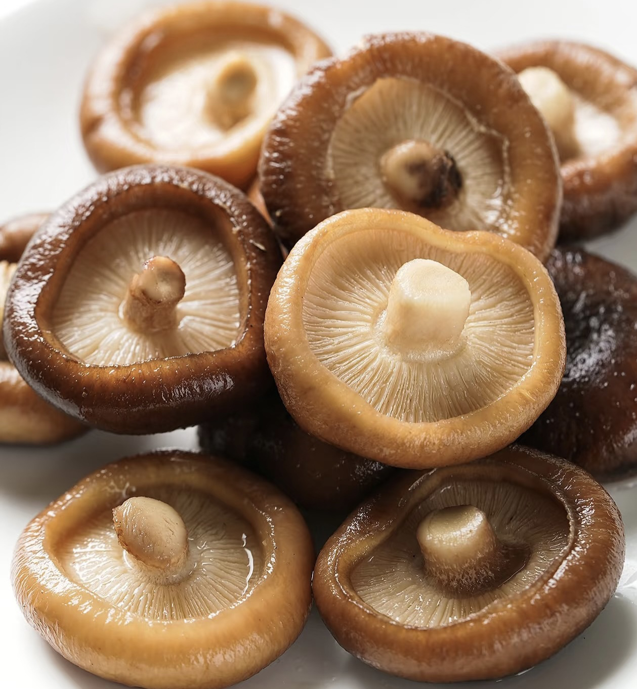 【聚菜】精选 香菇鲜甜  肉厚 鲜甜