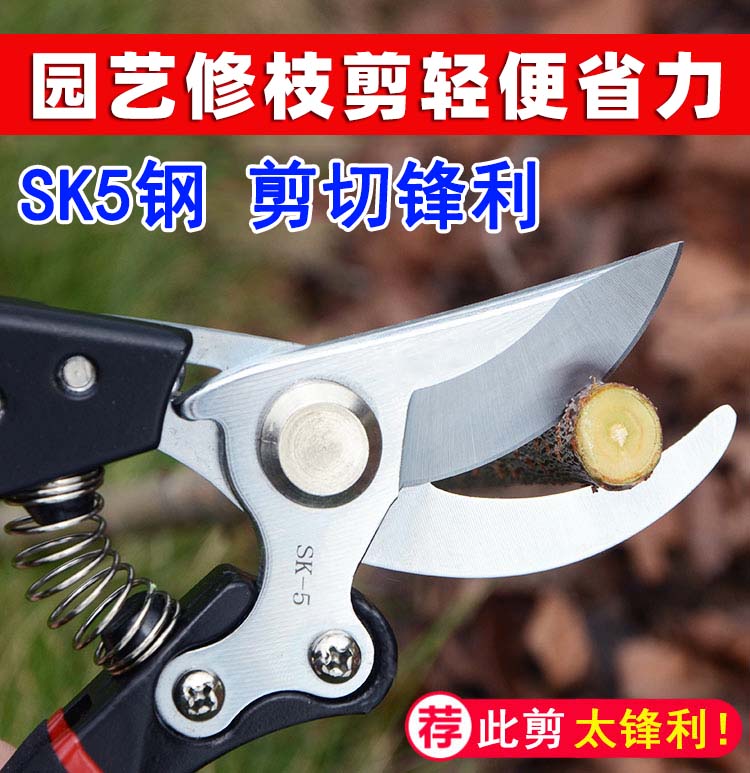 园艺园林果树省力剪修枝剪剪树枝专用剪刀剪枝剪刀花艺剪专用工具