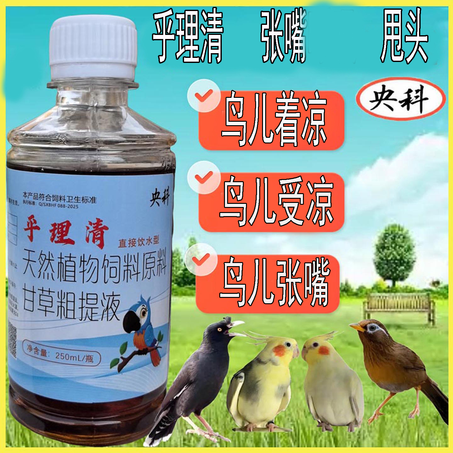 鹦鹉八哥画眉通用呼理清饮水型鸟类防护备用