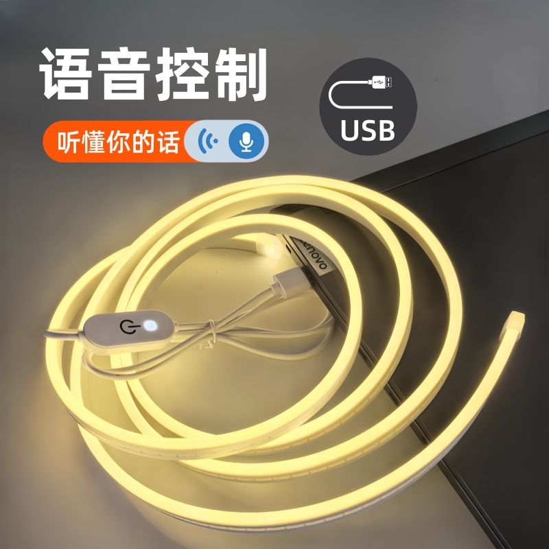 usb带开关霓虹灯5V语音款防水暖光房间装饰造型氛围灯带led软灯条