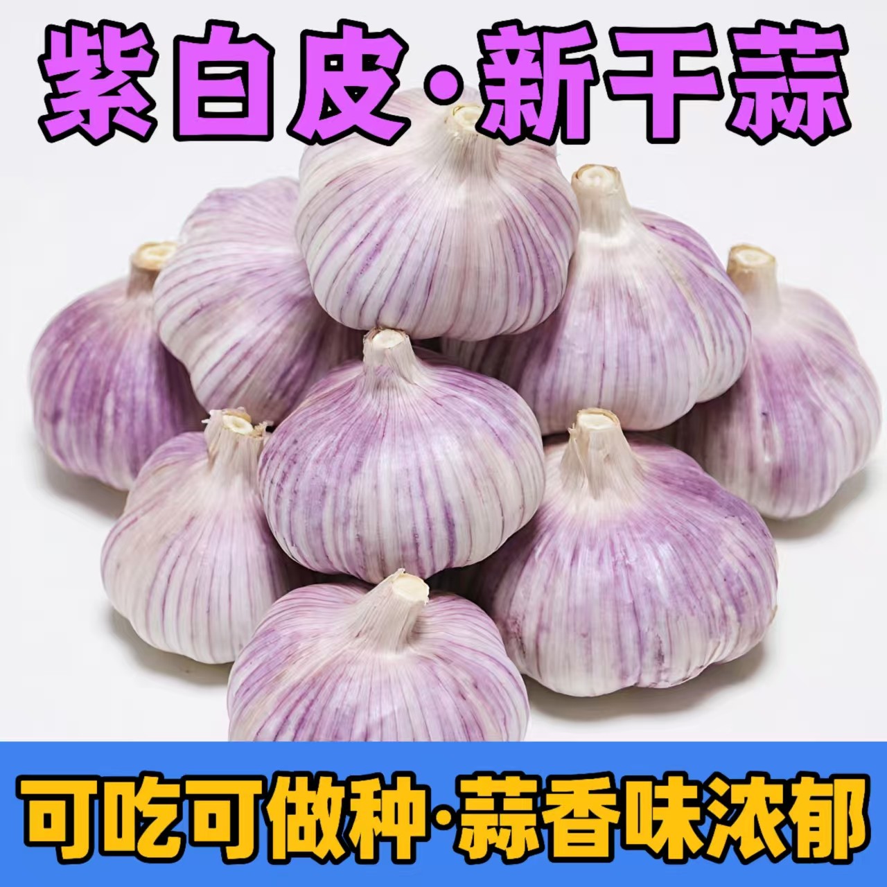 正宗紫白皮大蒜新鲜干蒜农产品生鲜特产X1