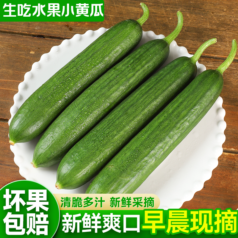 【寿光】荷兰水果黄瓜寿光水果黄瓜新鲜现摘无刺脆嫩绿心水果包邮