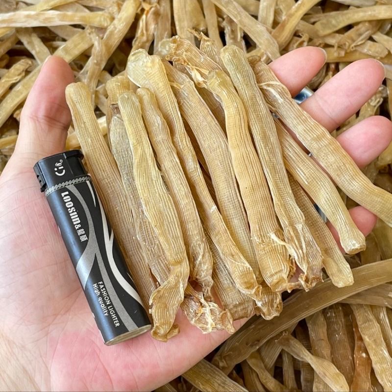 北海本港中号沙虫干滋补孕妇小孩营养品煲粥北海特产野生送礼佳品