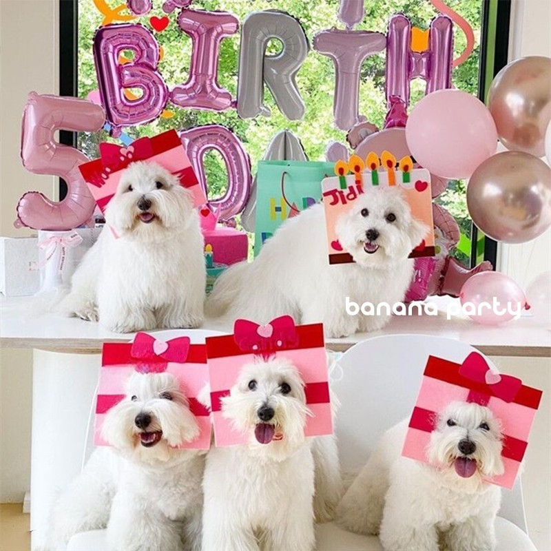 宠物可爱搞怪毛毡面具猫咪狗狗生日拍照装饰蛋糕礼物盒头饰