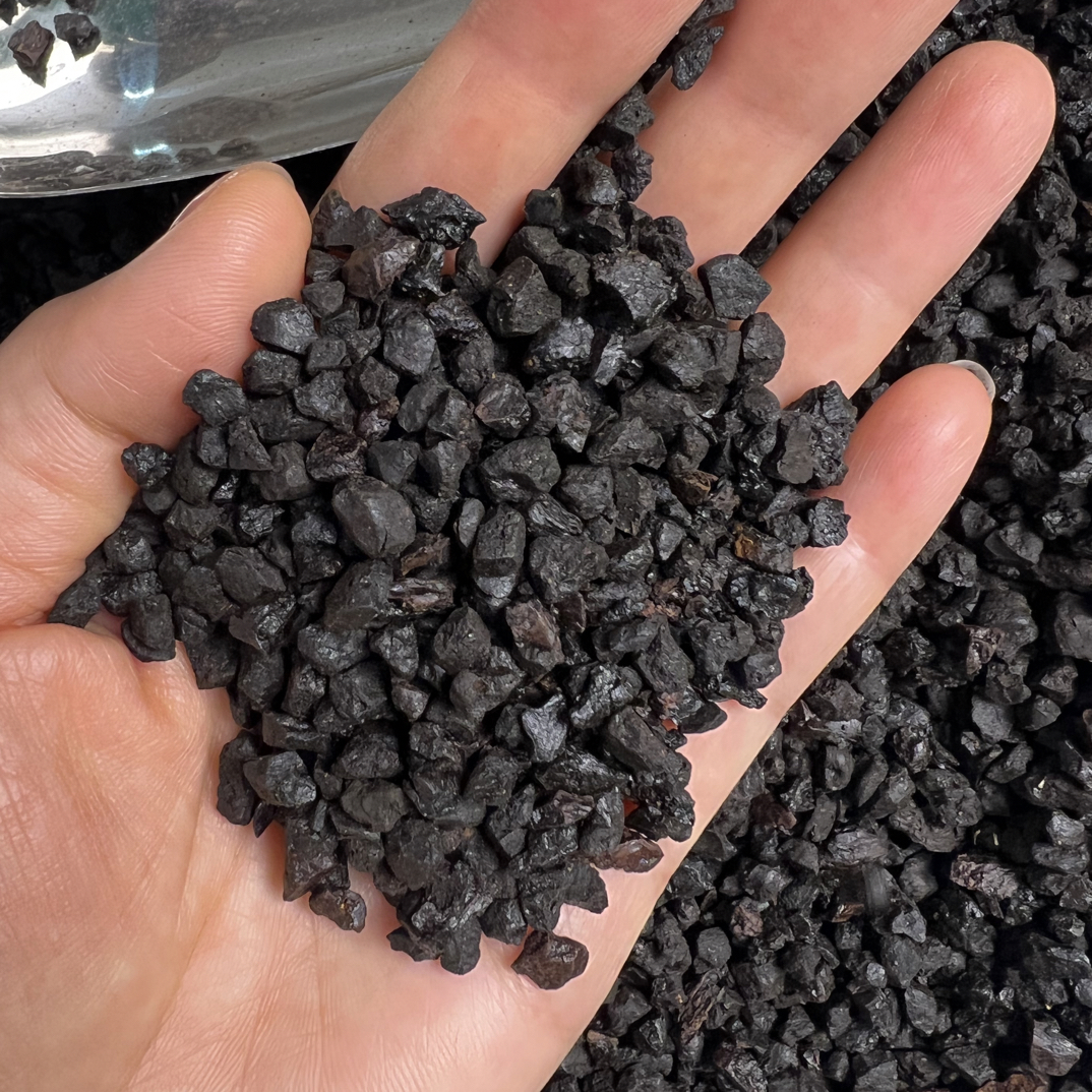 中俄边境桦树茸黑油粒