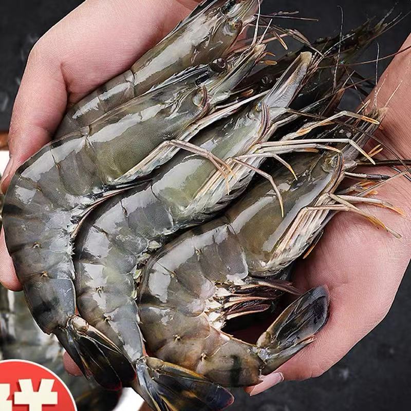 鲜冻黑虎虾 老虎虾 16-20规格 22-28只左右/盒