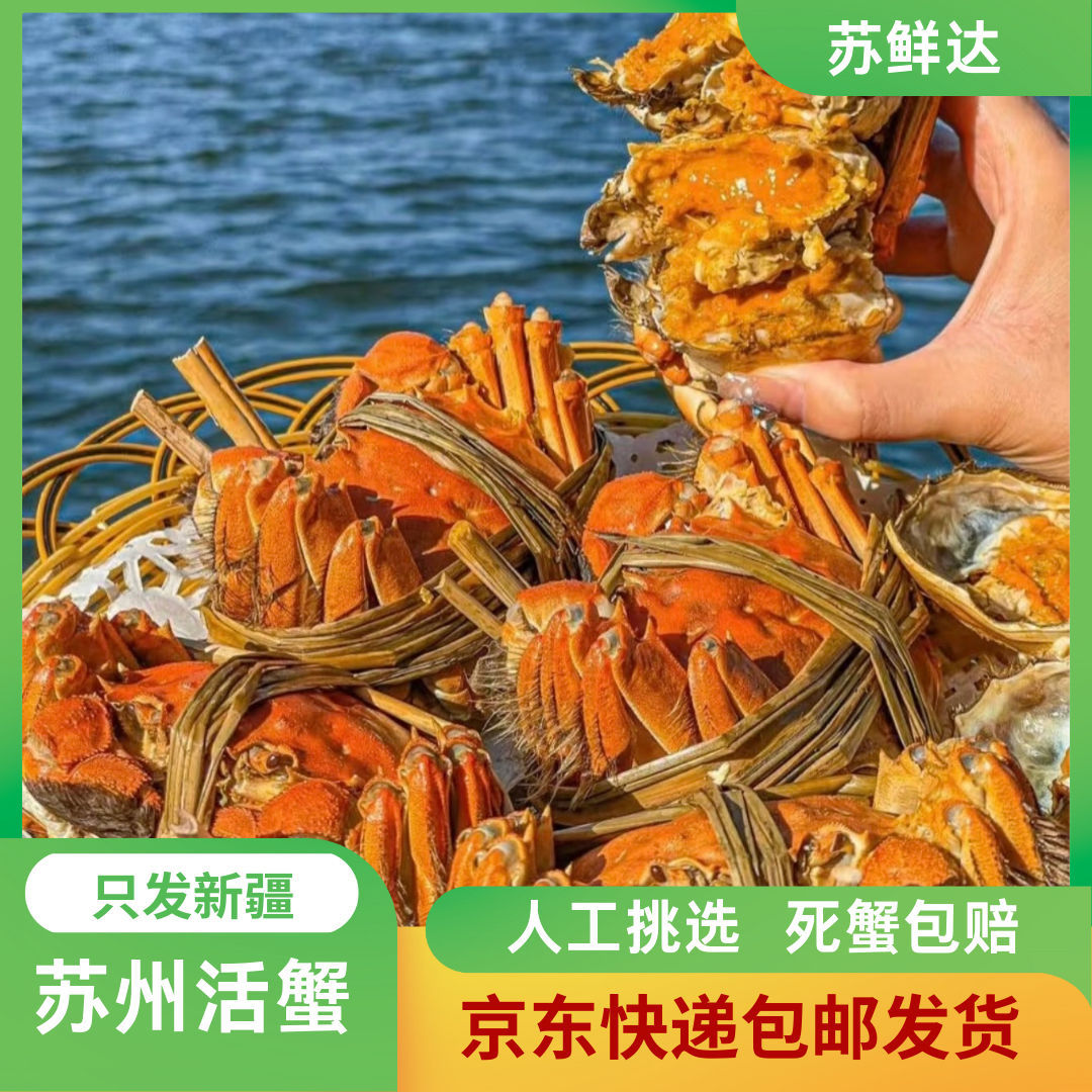 【只发新疆】苏州大闸蟹2两8只（精品级全母活蟹附带礼品装）