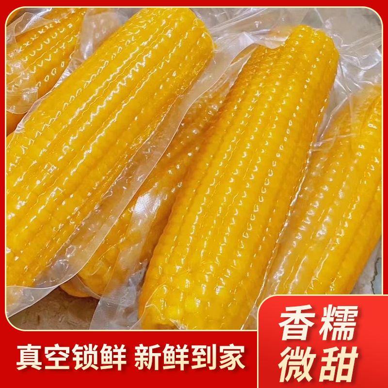 2025年五常头茬黄糯玉米 1箱8根（整箱1.8kg）嫌小勿拍