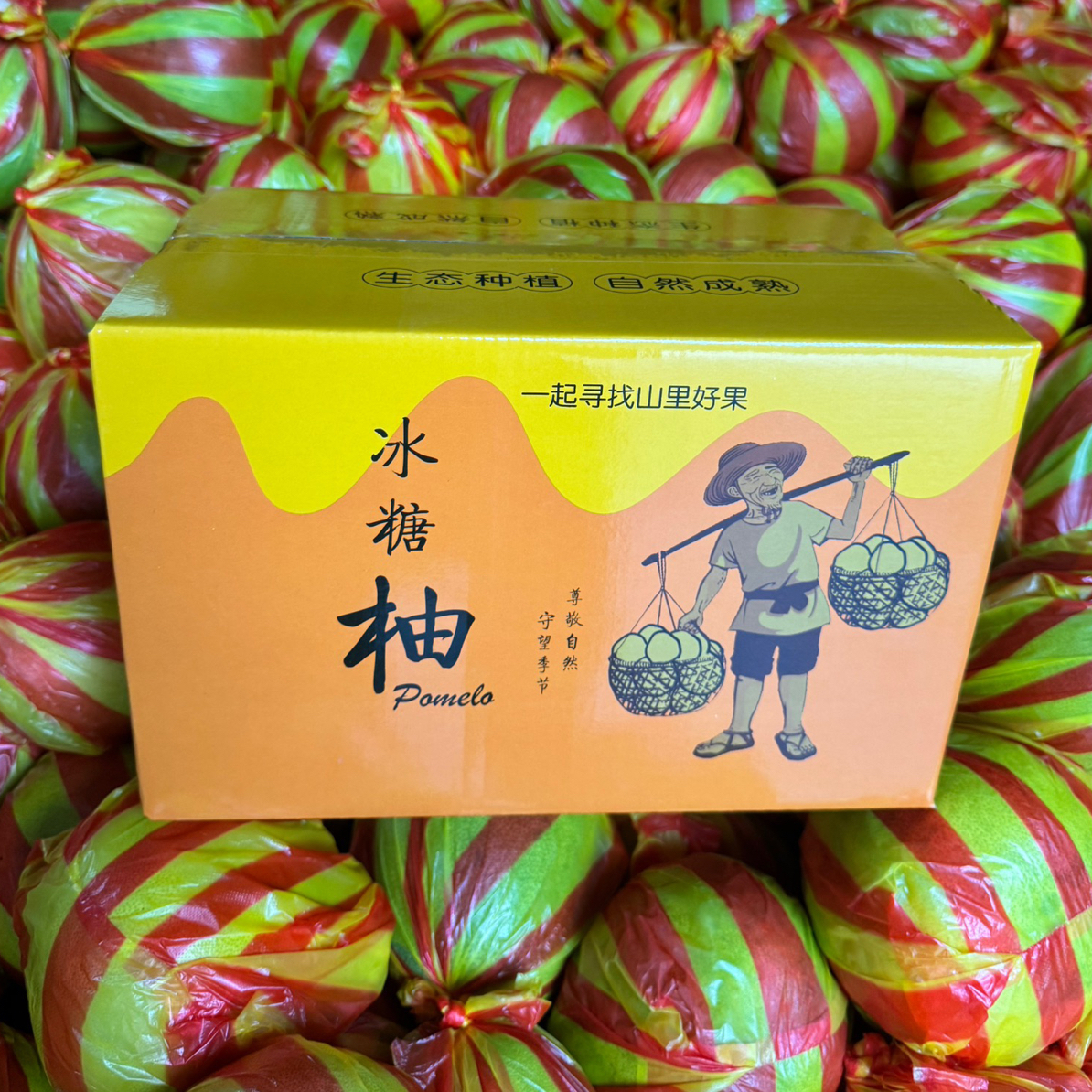 湖南怀化安江雪峰冰糖柚香柚小苦柚土柚安福柚子水晶金兰柚蚕子柚