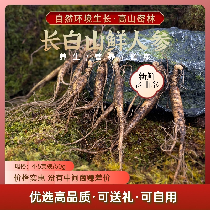 长白山鲜参炖汤泡酒泡茶泡水送礼自用养生上品