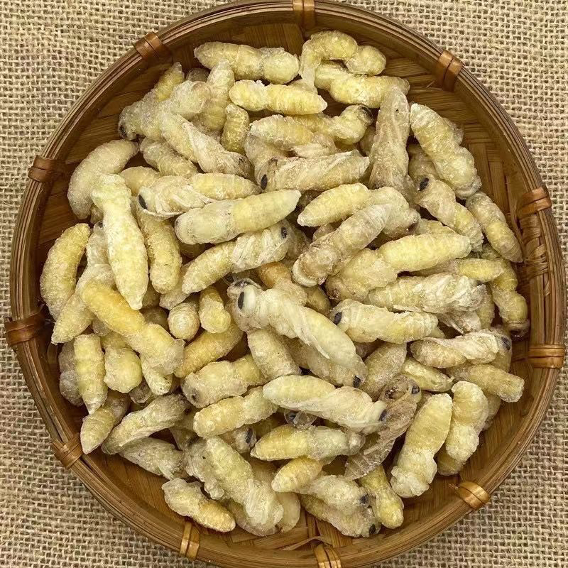 新货】金环虎头蜂一级二级四级蛹蜂巢土蜂蛹新鲜马蜂生鲜昆虫