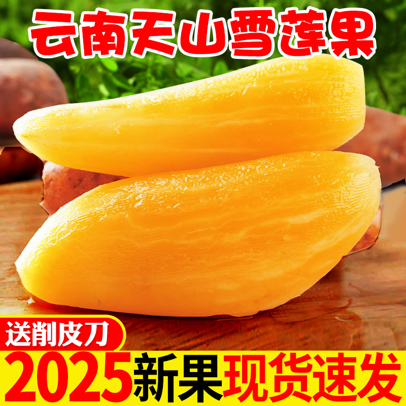 云南天山雪莲果低糖应季水果黄心雪莲新鲜现挖3斤5斤9斤高原红心