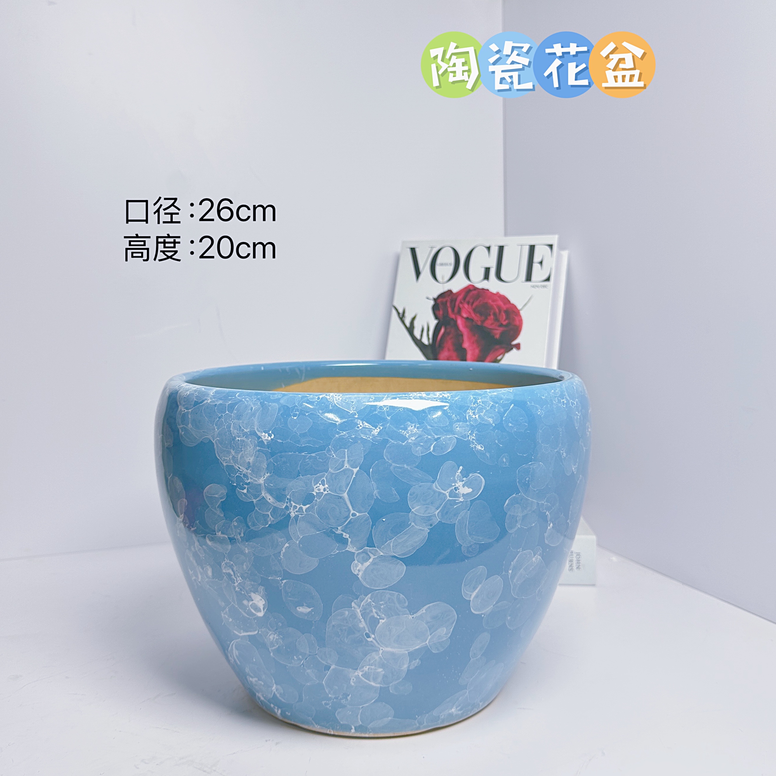 陶瓷花盆天蓝泡泡大号口径26高度20分蝴蝶兰发财树金钱树三角梅