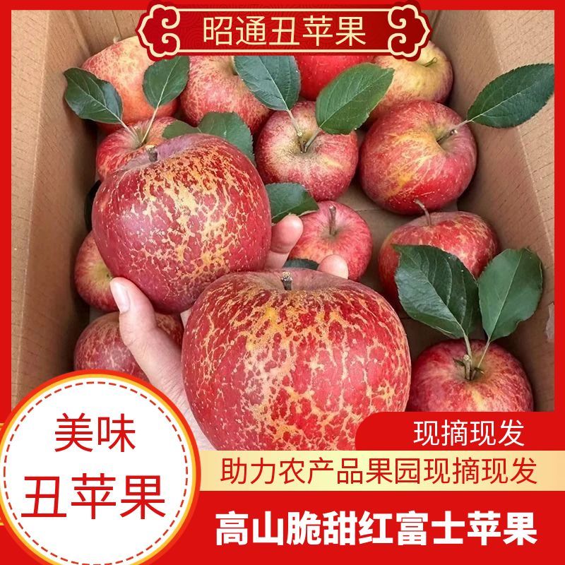 云南昭通冰糖心丑苹果净重5斤新鲜脆甜现摘