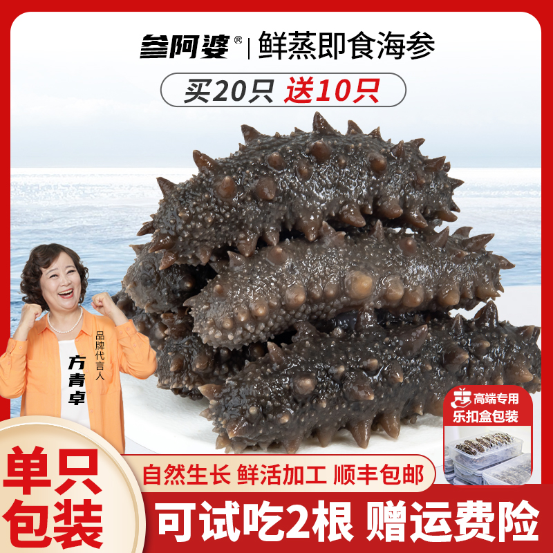 【年终狂欢季】参阿婆鲜蒸即食海参20送10头单只包装非水发 20只/盒