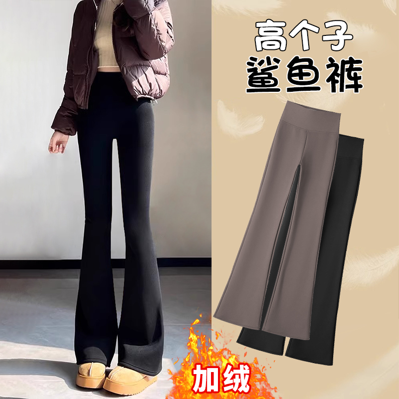 175cm高个子加长微喇鲨鱼裤女外穿2025新款高腰显瘦瑜伽喇叭裤子.