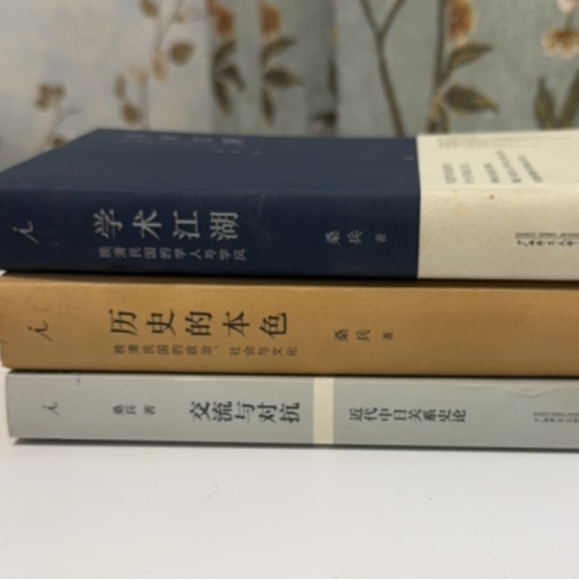 桑兵作品系列 老版 理想国