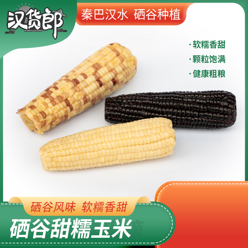 真空10支装硒谷安康香甜糯玉米新鲜香糯（试吃两支）