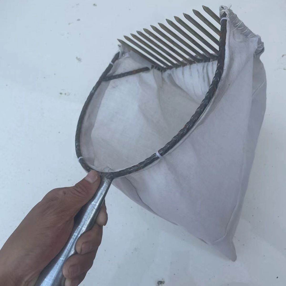 摘柏树籽酸枣大枣山枣采摘神器省时省力高效率