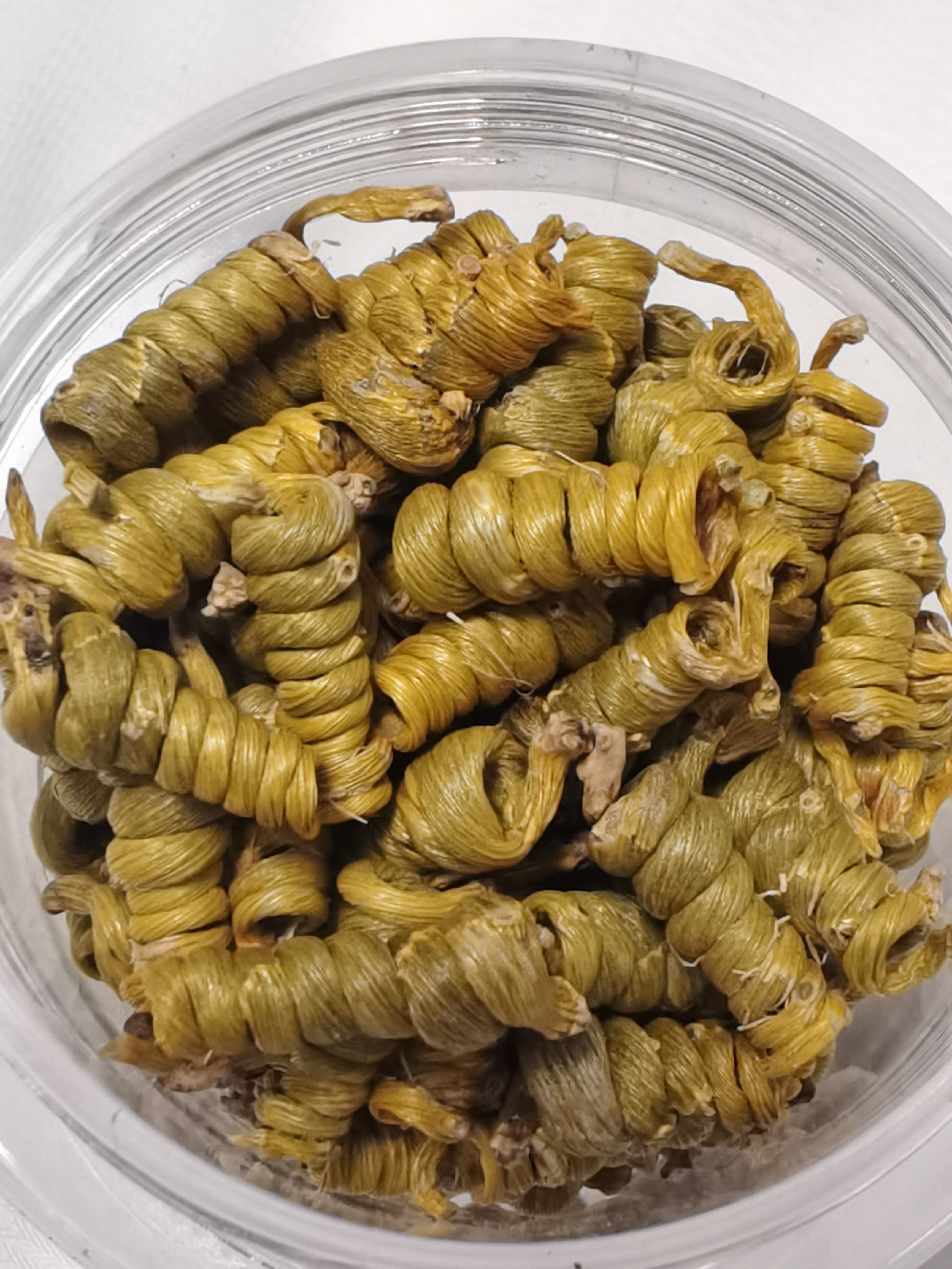 霍山原产高品质石斛枫斗颗粒饱满胶质多可煲汤泡茶