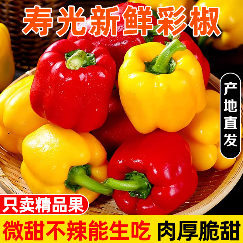 【精选大果】山东寿光现摘现发水果彩椒红黄双色新鲜采摘