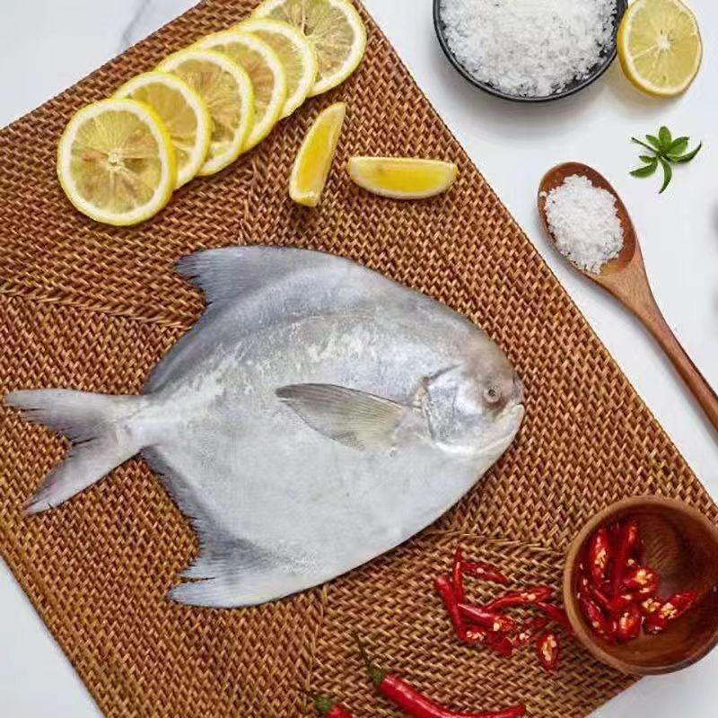 东海大斗鲳鲳鱼2斤4-5条顺丰发货新鲜