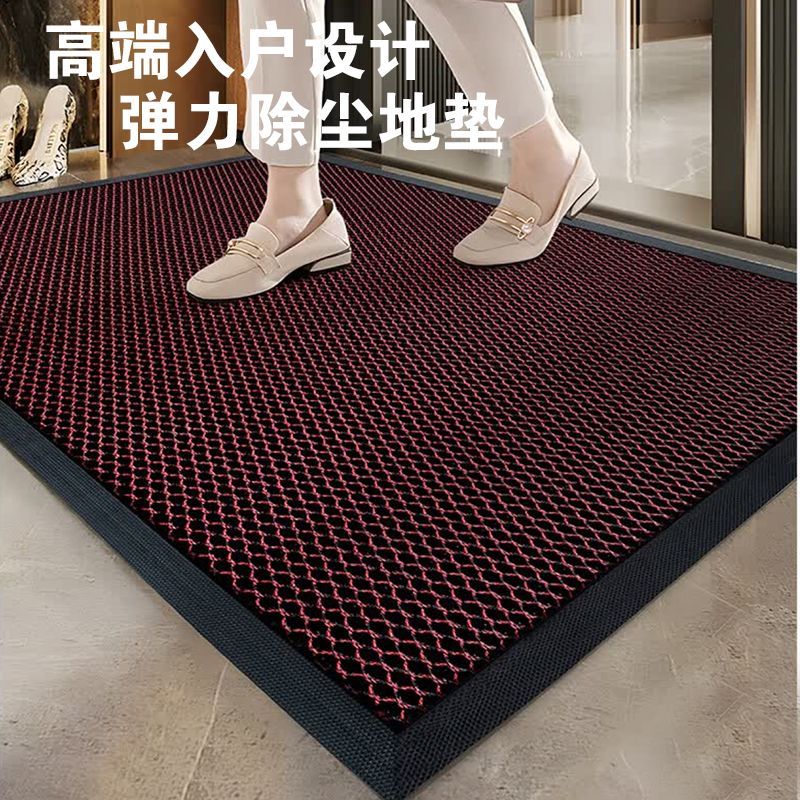 高弹耐磨别墅豪宅大门除尘防尘高端入户门地垫家用大门口防滑脚垫