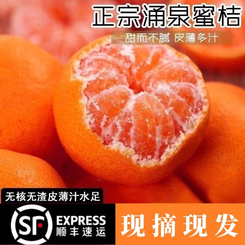 浙江台州[顺丰包邮]涌泉蜜桔应季新鲜甜润黄皮高山沙地无籽甜薄皮