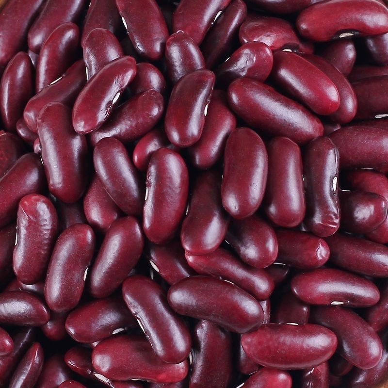 【涛涛助农】云南农家种植大粒红腰豆红芸豆可煲汤煲粥的五谷杂粮
