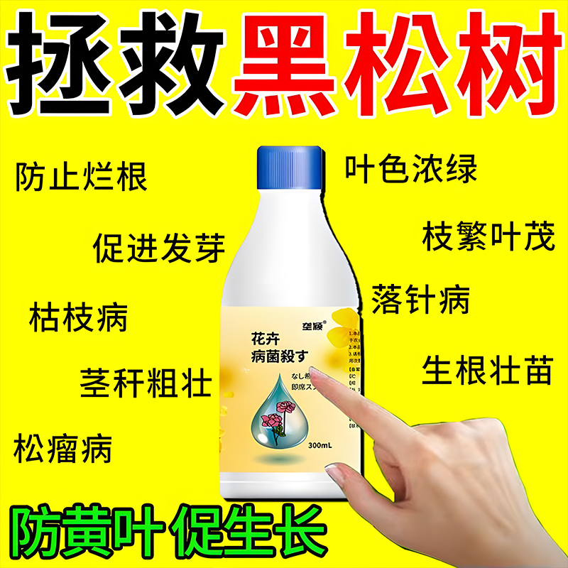 黑松专用除菌剂多菌灵营养液叶枯病赤枯枝铁锈白斑病虫害肥料