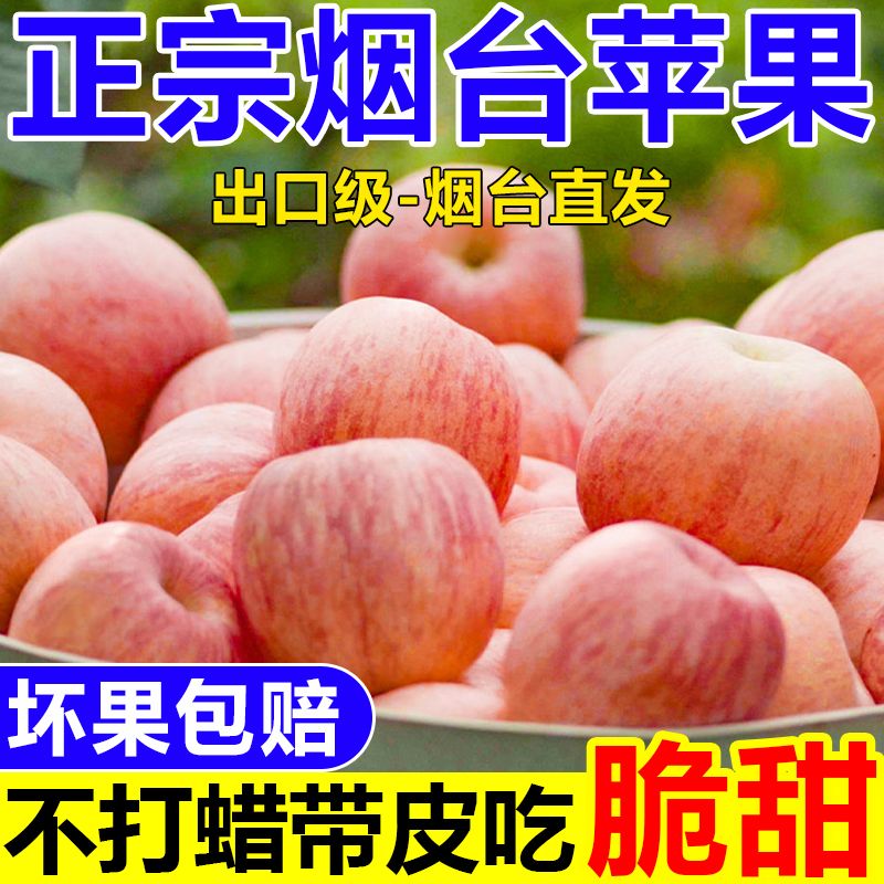 【包邮发货】正宗烟台栖霞红将军苹果当季现摘苹果新鲜脆甜多汁皮薄