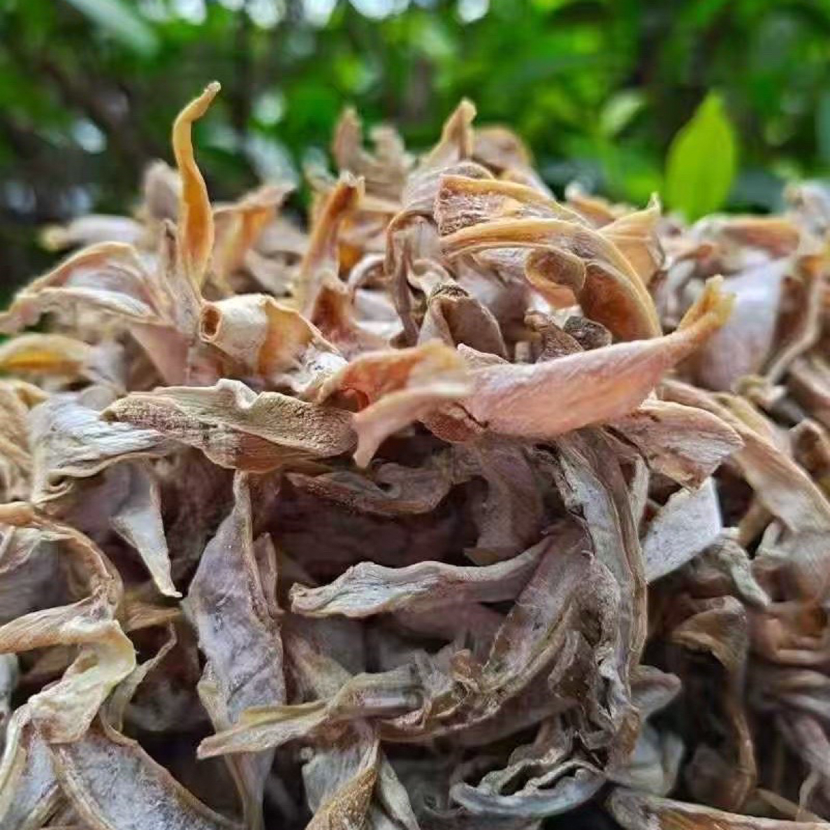 精选泗水日晒嫩笋干泡发蒸菜一斤也包邮