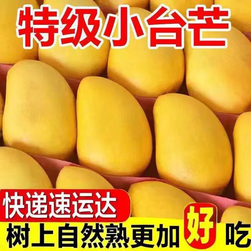 整箱10斤卷王九队唐老师台农芒果当季新鲜水果香甜小曹
